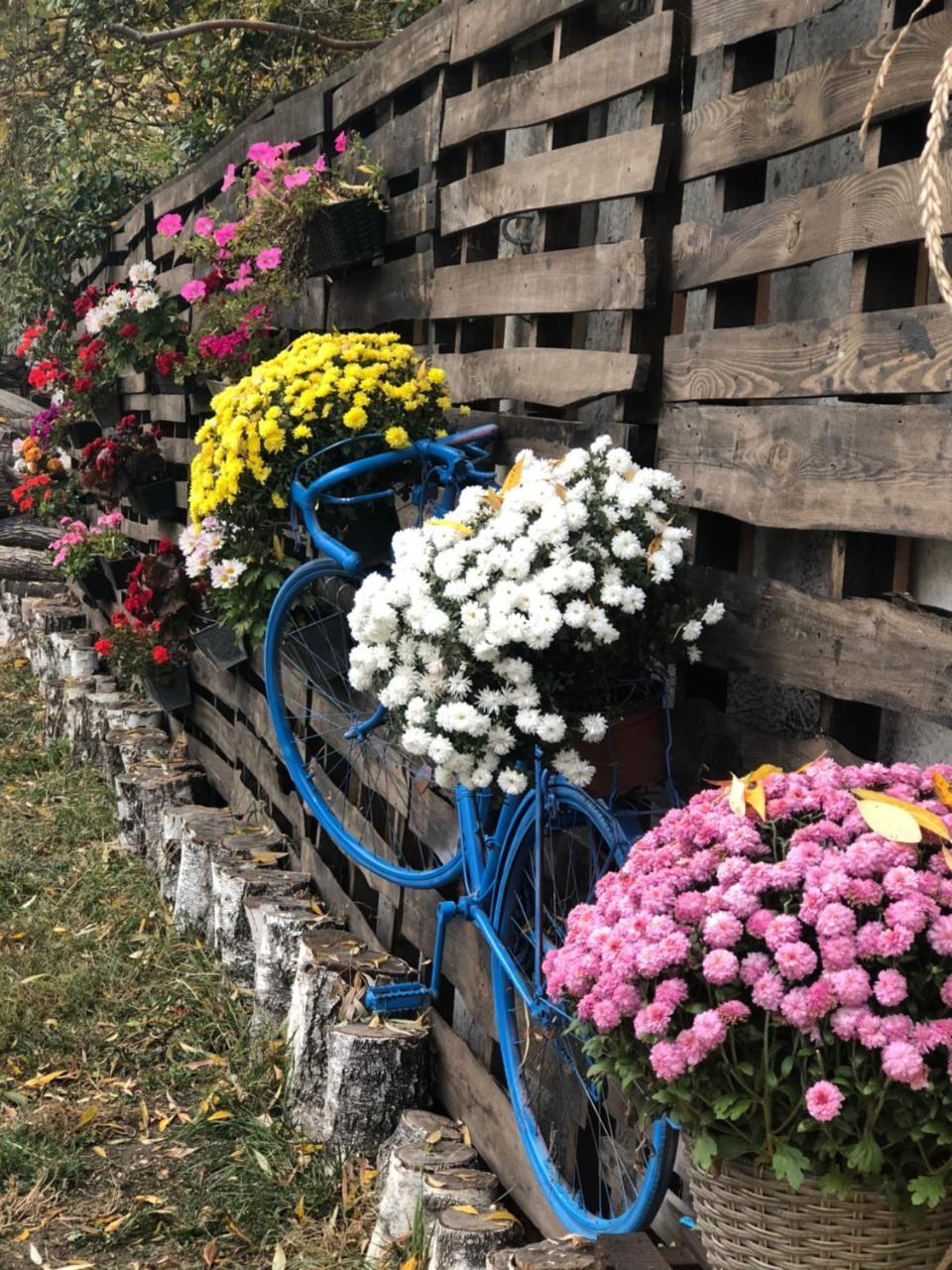 Tamerlan Khmelʼnytsʼkyy Exterior foto